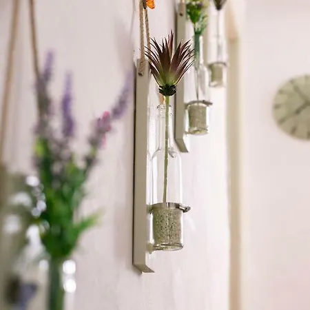 Rustic House Vera
